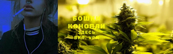 дживик Володарск