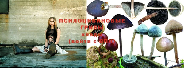 соль курить ск Верея