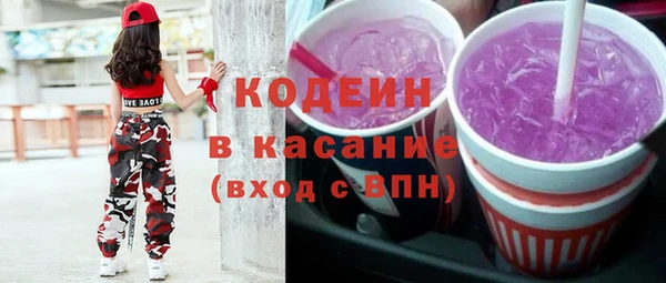 шишки Верхний Тагил